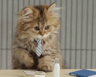 Как участвовать в городских тендерах: понятная инструкция